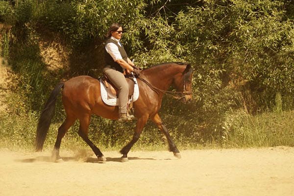 Reiterin auf Paso Fino auf dem Sandplatz