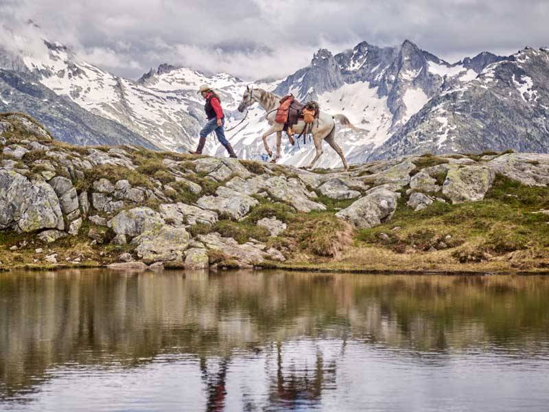 ein weißes Pferd wird in den Alpen vor einem See über einen steinigen Weg geführt