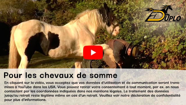 un muletier soulève le sabot de son cheval de bât