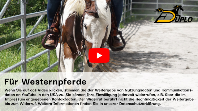 eine Reiterin auf einem Painthorse auf einem Reitplatz im Sommer