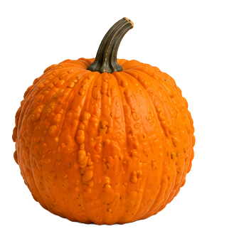 Halloween-Kürbis
