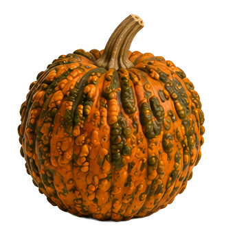 Halloween-Kürbis