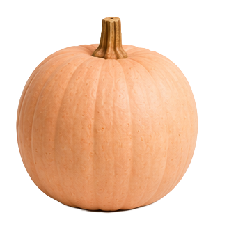 Halloween-Kürbis