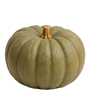 Halloween-Kürbis