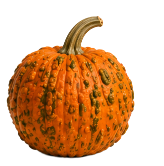 Halloween-Kürbis