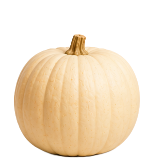 Halloween-Kürbis
