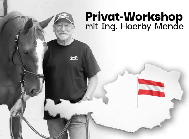 Workshop zur geklebten Anwendung mit Ing. Hoerby Mende