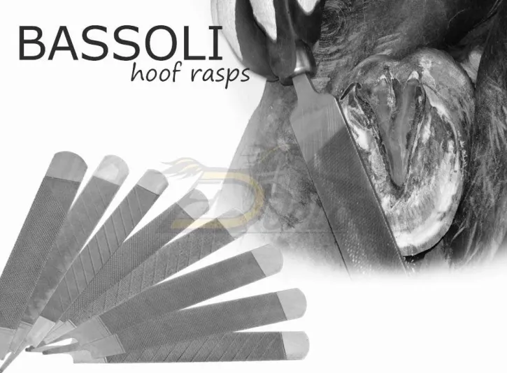 Bassoli Hufraspeln — die richtige Raspel für jeden Huf