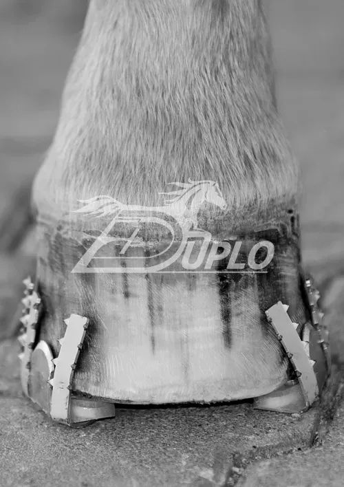 Folleto — Paso a paso al herraje cast — Duplo Folleto — Paso a paso al herraje cast — Duplo