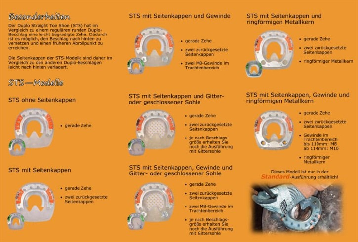 Flyer "STS"