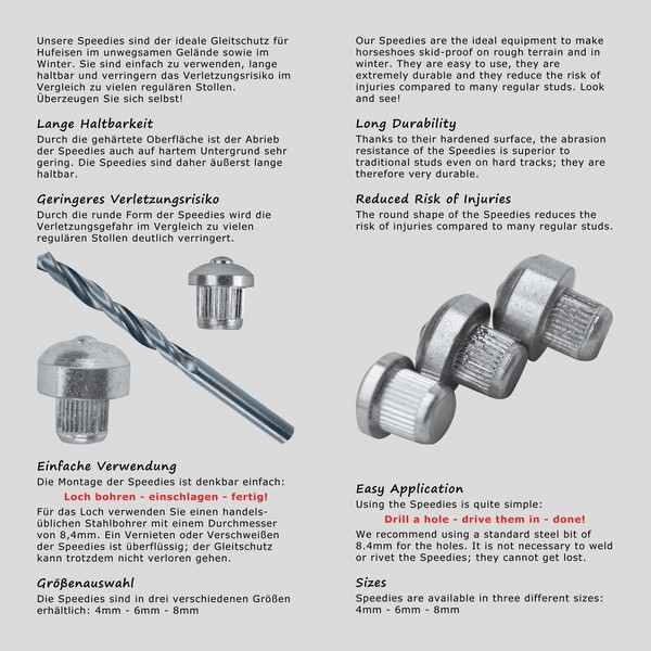 Flyer «Speedies»