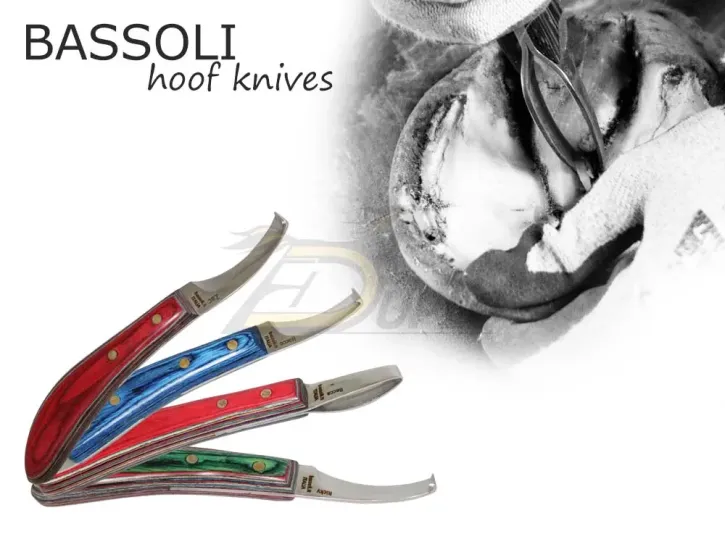 Bassoli