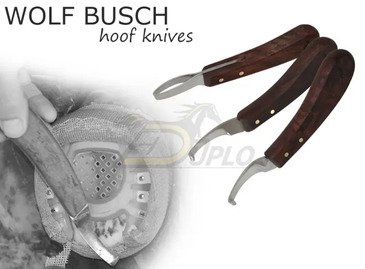 Wolf Busch