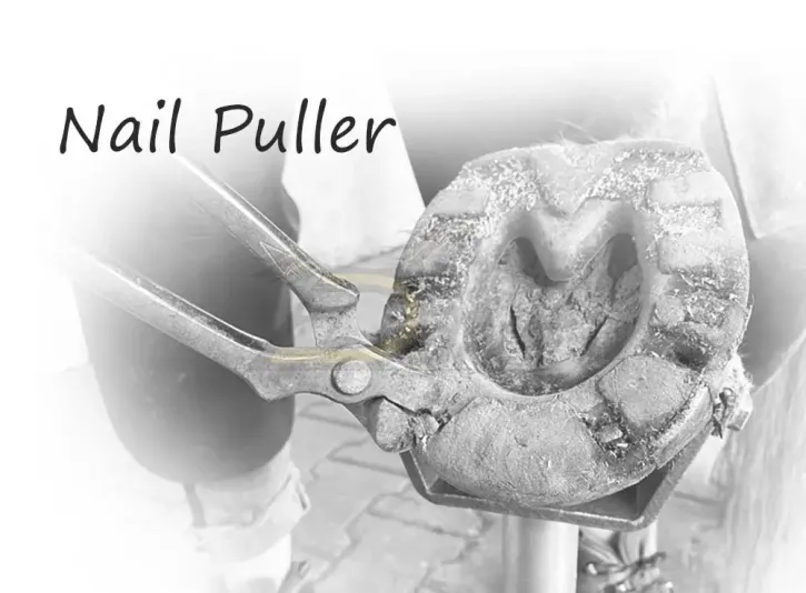 Nagelziehzangen / Papageienzangen - genagelte Hufeisen einfach abnehmen