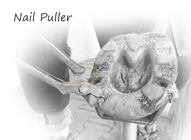 Nail Pullers – Precision Tools for Farriers