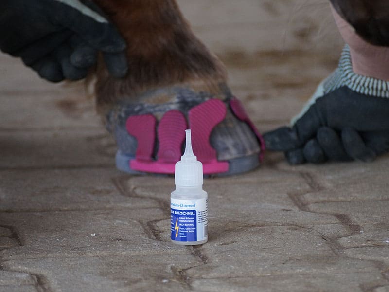 Glueing the Wolf Busch glue-on tabs to the hoof