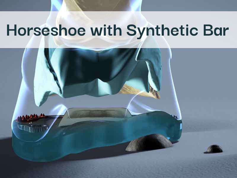 visualization of hoof mechanism with synthetic shoe featuring a flexible heart bar
