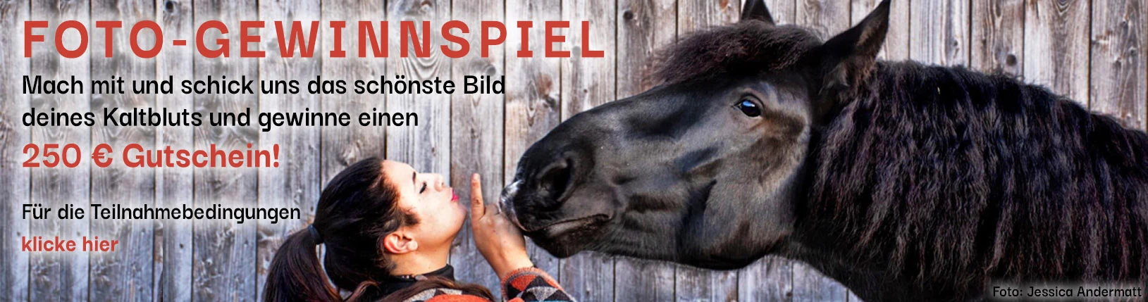 Gewinnspiel