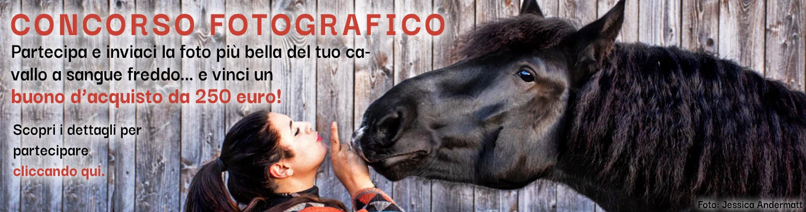 Gewinnspiel