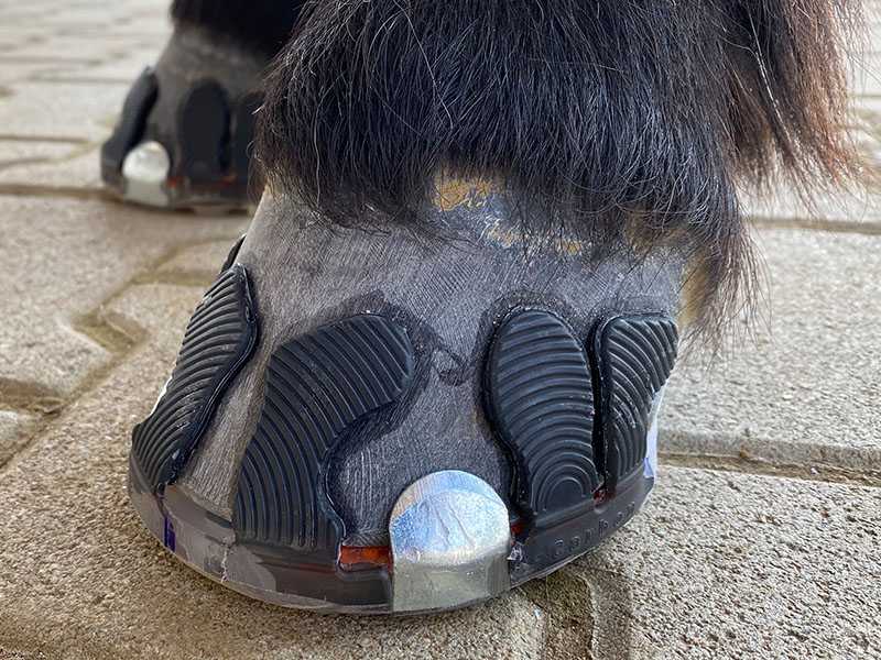 alternative hoof protection with side caps as a glue shoe on the horse's hoof