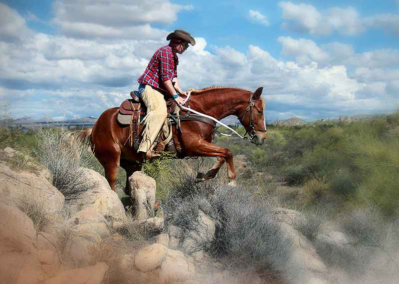 Montar a caballo en Arizona: un caballo de la raza Missouri Fox Trotter con herraje compuesto de Alemania.