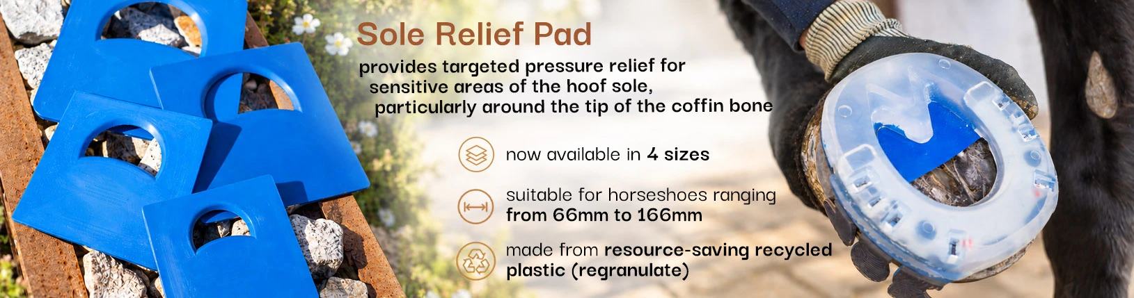 Sole Relief Pad