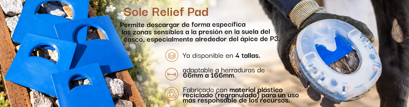 Sole Relief Pad