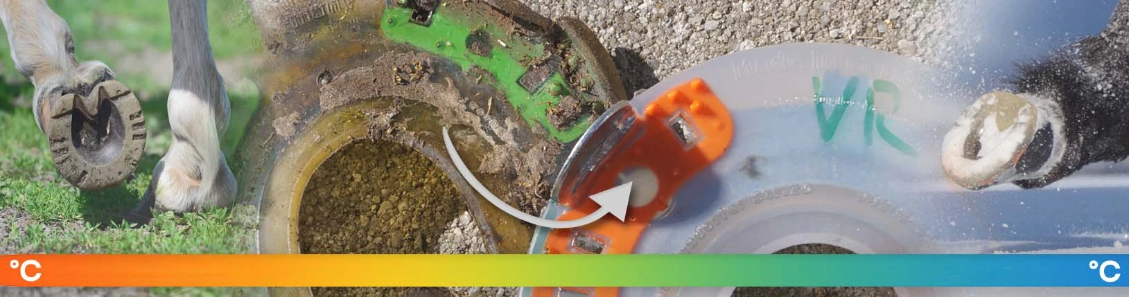 Wechsel-Extra-Standard