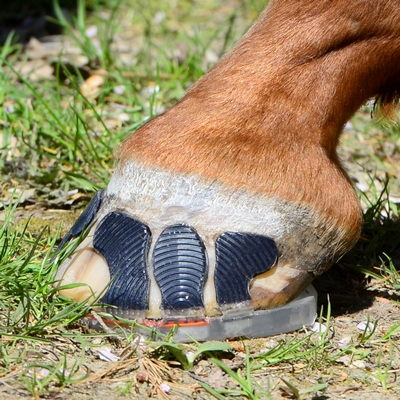 hoof of a horse with a glue-on horseshoe standing in a pasture