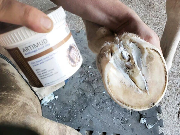 A farrier lifts a hoof and shows a jar of Artimud® by Red Horse®