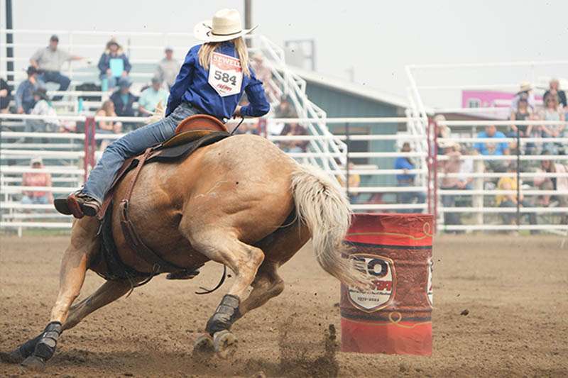 The horse is ridden around a red barrel during the barrel race.