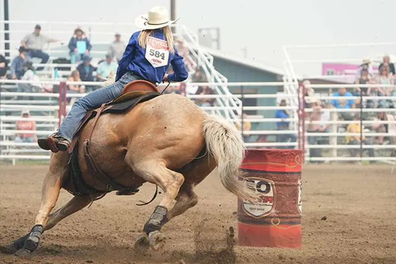 Pferd wird beim Barrel Race um eine rote Tonne geritten.