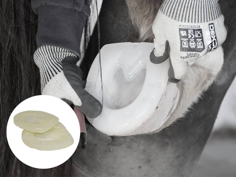 der Hufschmied testet die Position der Grundplatte am Pferdehuf, er trägt WonderGrip Schnittschutzhandschuhe