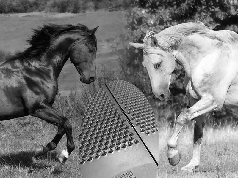 Symbolic image for the DARK HORSE and WHITE HORSE hoof rasp by Save Edge – a black and a white horse gallop in a paddock. An oval graphic shows the tooth pattern of the hoof rasps.