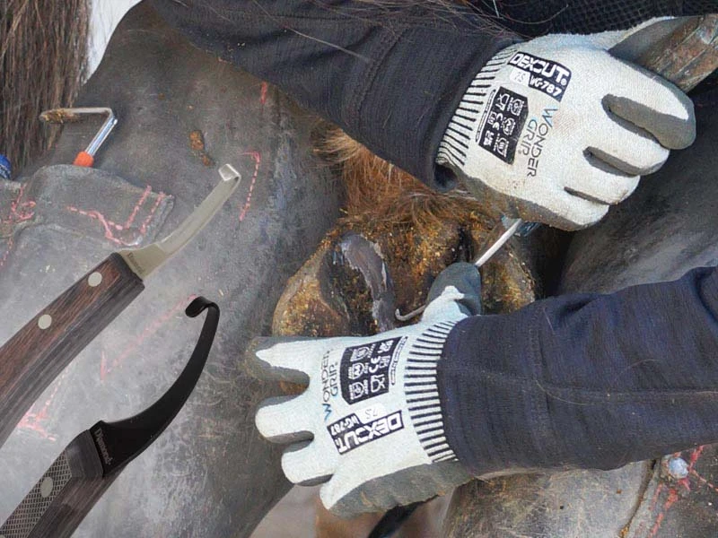 Eine Hufschmiedin arbeitet mit einen Hufmesser am Huf. Sie trägt Schnittschutzhandschuhe. 
