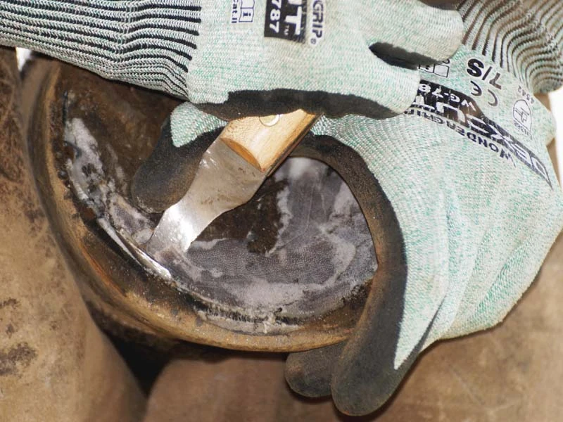 Das Foto zeigt einen Huf; an der Hufsohle ist das Hufmesser angesetzt und man sieht, wie etwas Material abgetragen wird.