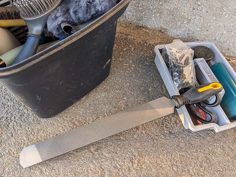 Dick Economic hoof rasp placed next to a rider's grooming kit filled with various stable essentials