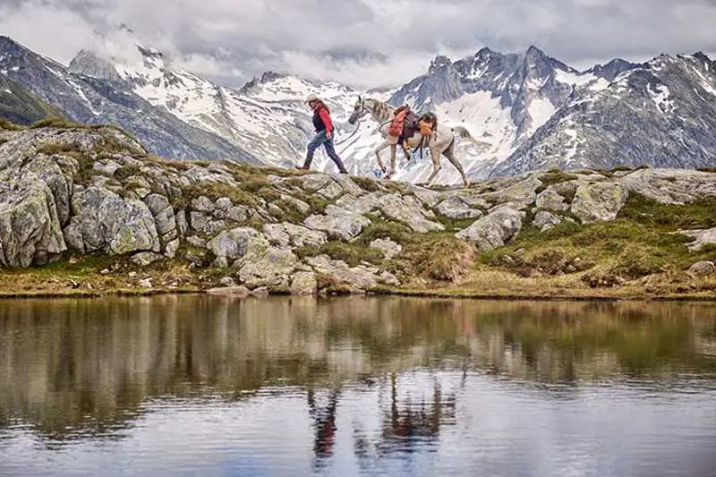 Reiter führt ein weißes Pferd durch Schnee in den Alpen.