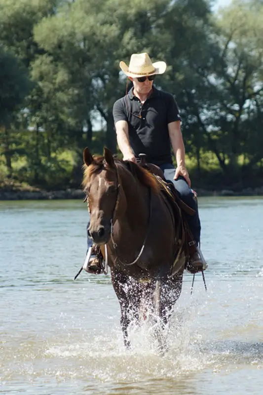 Rider with cowboy hat riding through a river on a dark brown horse