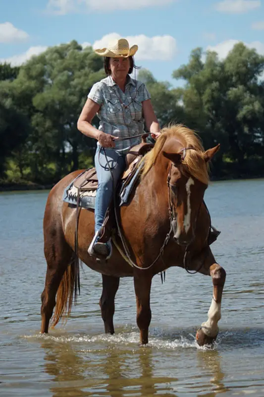 female rider rides through the Danube near Passau