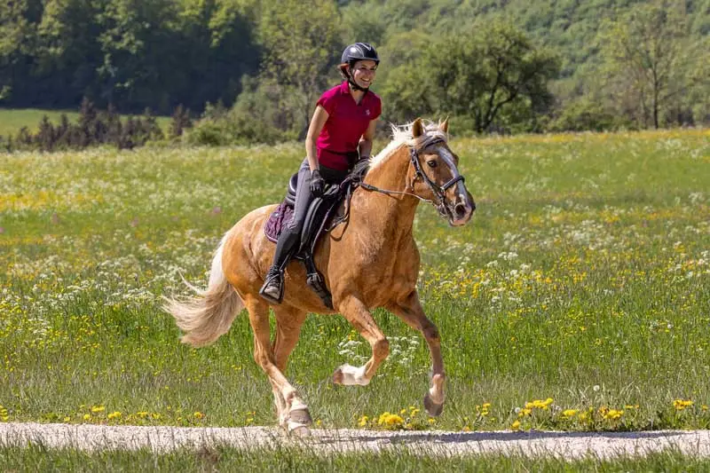 Distanzreiterin im Galopp winkt in die Kamera.