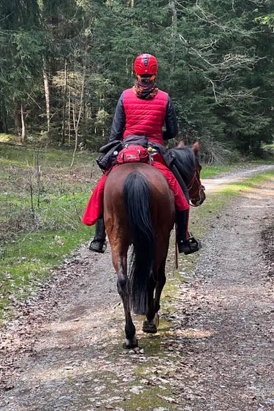 Distanzreiterin bei einem gemütlichen Wanderritt mit Ihrem Pferd.
