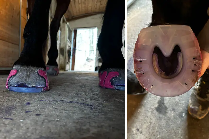 Barhufbearbeiterin präsentiert einen Klebebbeschlag mit pinken Laschen in der Stallgasse. Daneben hebt sie den Huf auf und zeigt die Bodenseite des Beklebs mit vertieftem Profil.