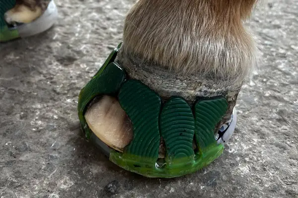 Ponyhufe mit Klebebschlag mit grünen Wolf Busch&reg; Klebelaschen auf hartem Boden.
