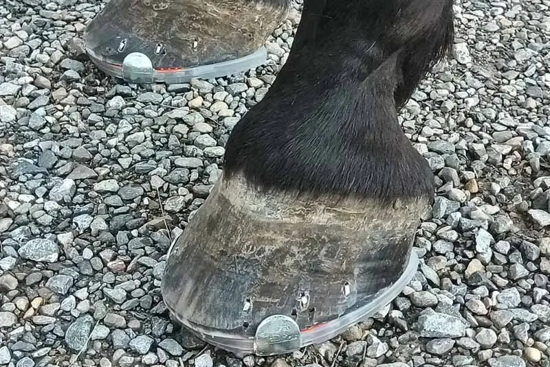 mit Duplos beschlagene Vorderhufe