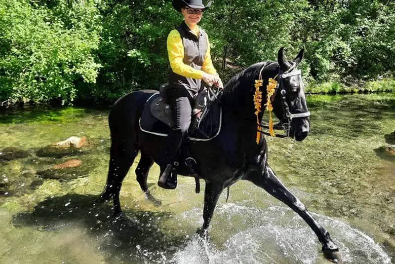 Pferd steht mit Reiterin in einem Fluss und plantscht mit dem Vorderhuf im Wasser. Es ist mit alternativen Hufeisen beschlagen.