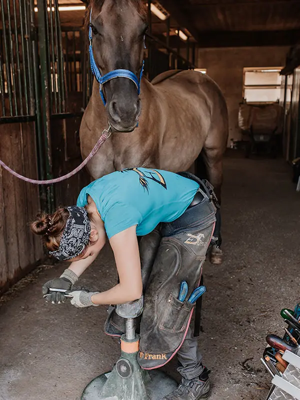 Un caballo está en el pasillo del establo. La pata delantera está colocada sobre el soporte de casco Hoofjack. La herradora está remachando los clavos de la herradura. Lleva una camiseta turquesa Cotton Stretch de Engelbert Strauss con el logotipo del fabricante de herraduras.
