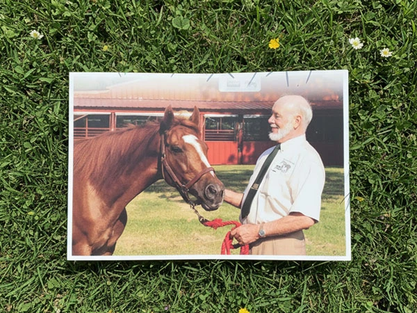 Ein Mann steht neben einem Pferd auf einer Wiese und hält ein Halfter, beide schauen sich an.