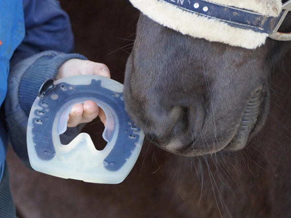 Un Full Branch Shoe est présenté par un maréchal-ferrant. À côté, on distingue le museau noir d'un cheval. On a l'impression que le cheval examine attentivement ce nouveau fer à cheval.