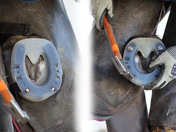 Image comparative : un maréchal-ferrant cloue un Full Branch Shoe sans trous de crampon et un Full Branch Shoe avec trous de crampon sur le sabot d'un cheval.
